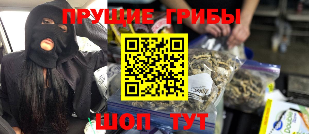 где купить   Галлюциногенные грибы GOLDEN TEACHER  Вход с VPN  Дмитров 